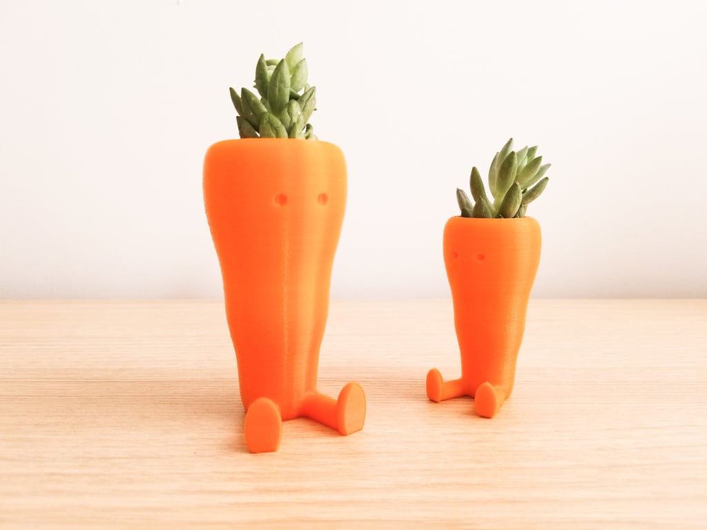 Cute Carrot Shaped Suculent planter