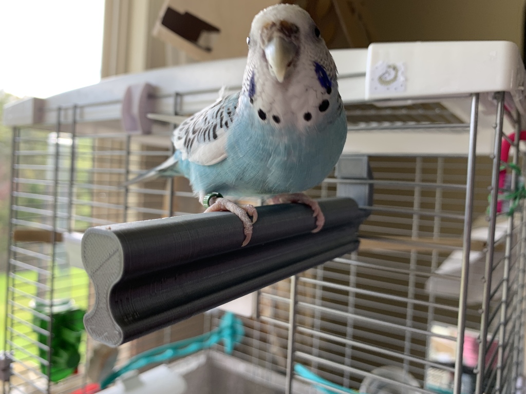 Pet Parakeet Cage Perch
