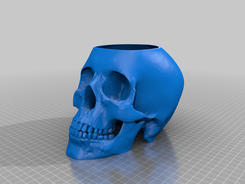 Skull planter
