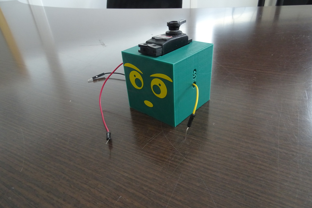 Arduino Servomotor Box