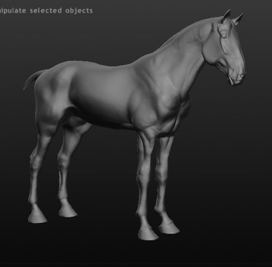 Horse Model