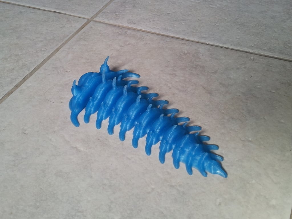 Comura Articulatum