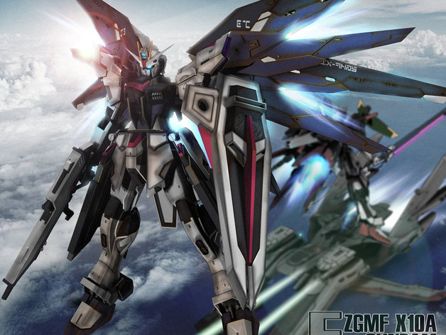 Custom Gundam: Freedom inspired Gundam minus wings.