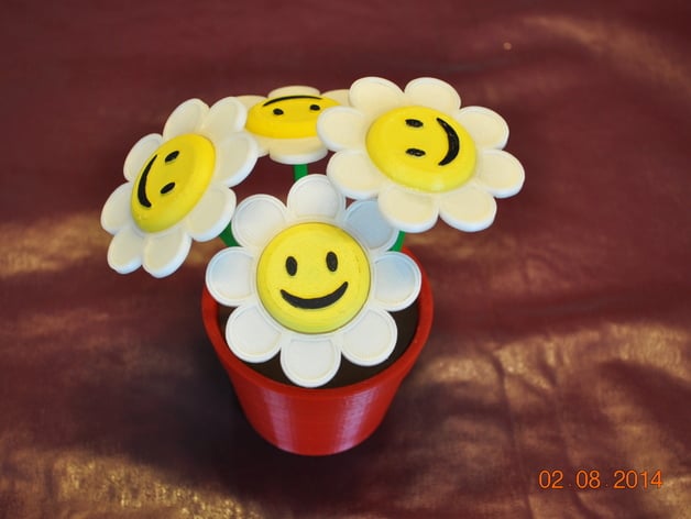 Smiley Face Flowers and Flower Pot