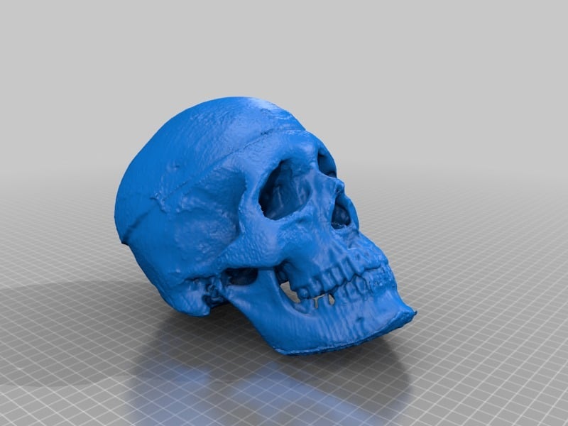 skeleton head