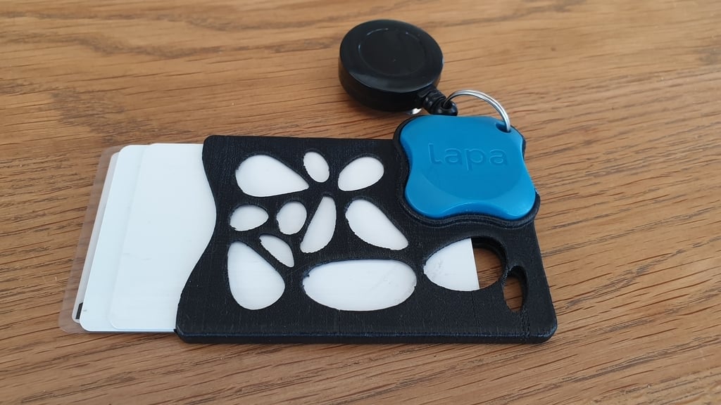 Card Holder with Lapa V2 support