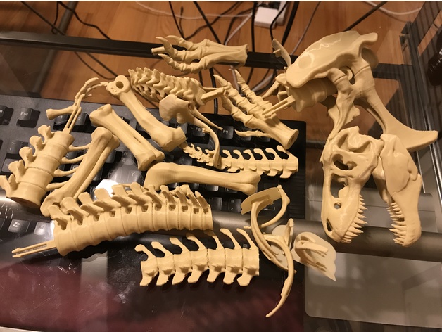 T Rex Skeleton Fixed And Printable By Icefox1983 Thingiverse - roblox t rex skeleton id