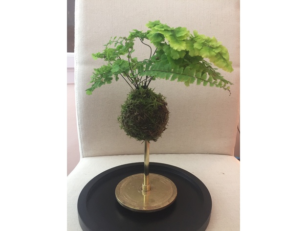 Kokedama with central-watering