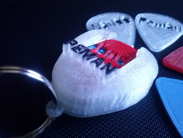 Guitar Pick Holder Keychain with name