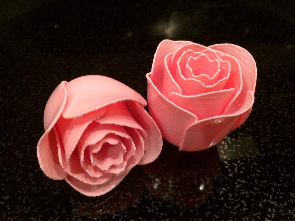 Printable Rose Flower