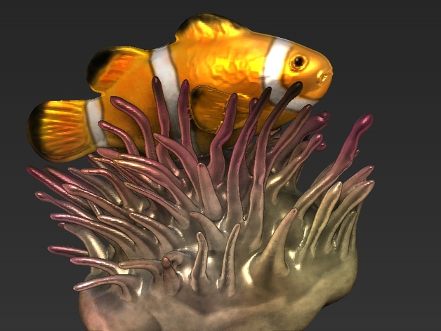clownfish anemone