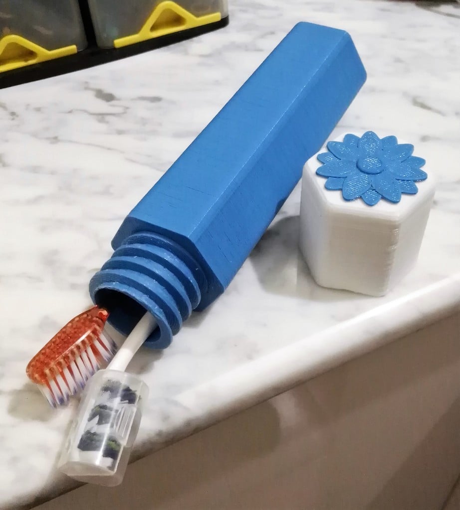 Toothbrush Travel Box