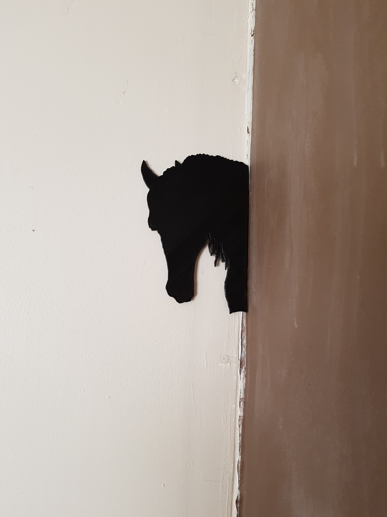 shadow of a horse and a dog