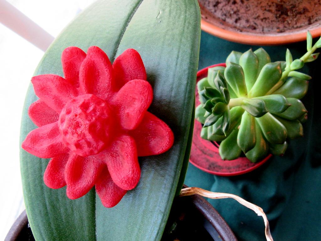 Floating Flower
