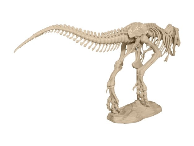 T Rex Skeleton By Makerbot Thingiverse - t rex skeleton roblox