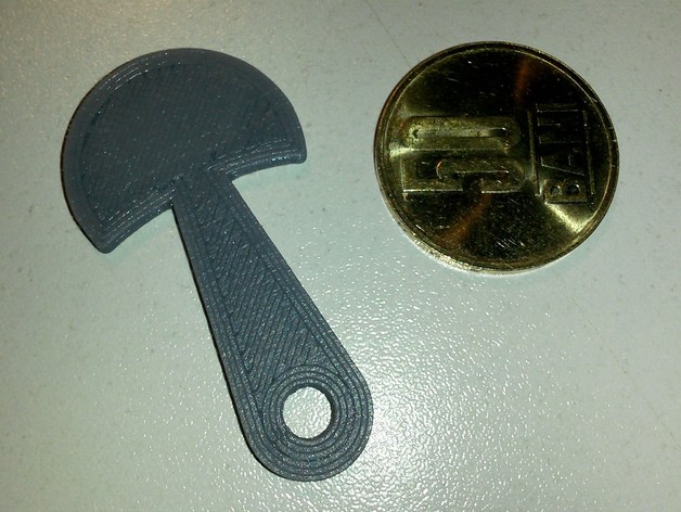 Parametric removable shopping trolley key