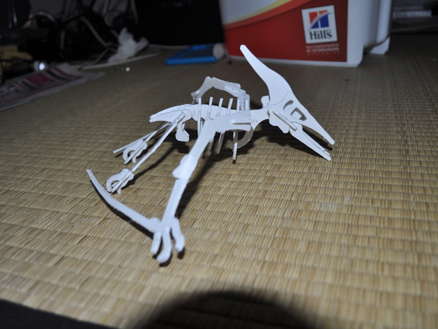 Pterodactilus 3D Puzzle Dino