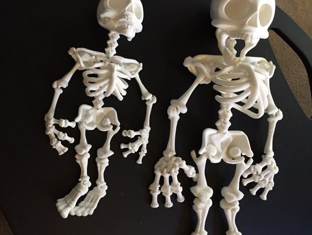 Davision3d Articulated Skeleton at 150%