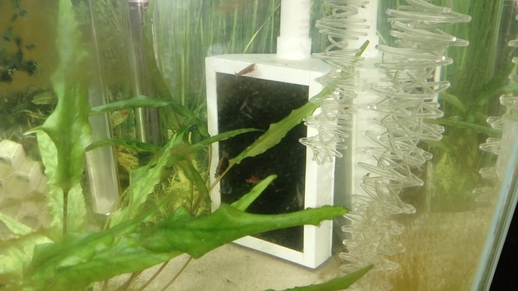 Aquarium intake strainer/filter