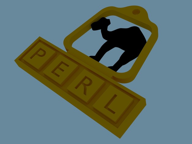 PERL programming conference gadget
