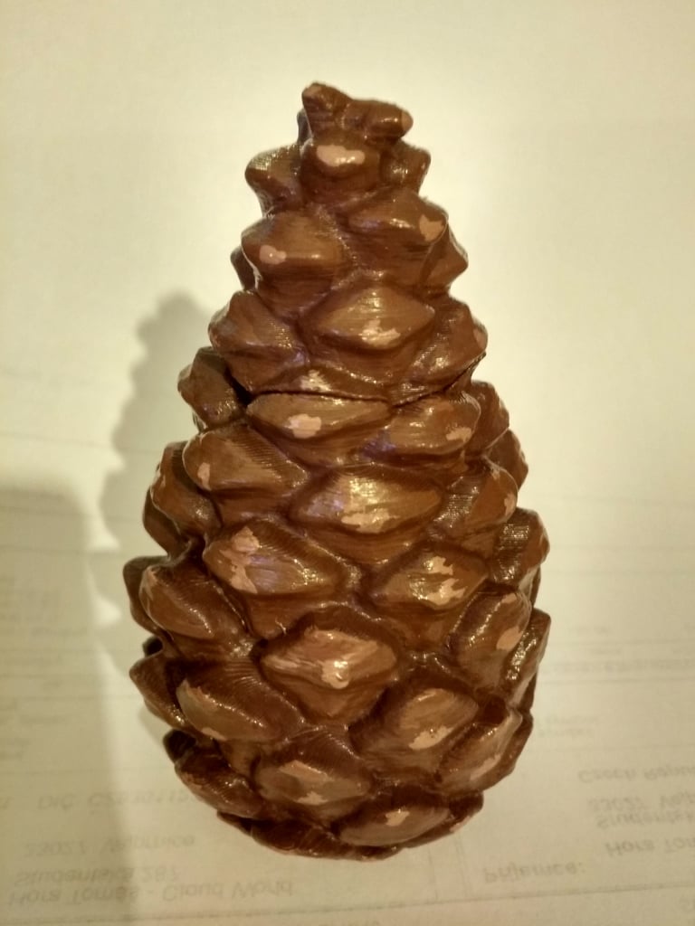 Pine cone cache
