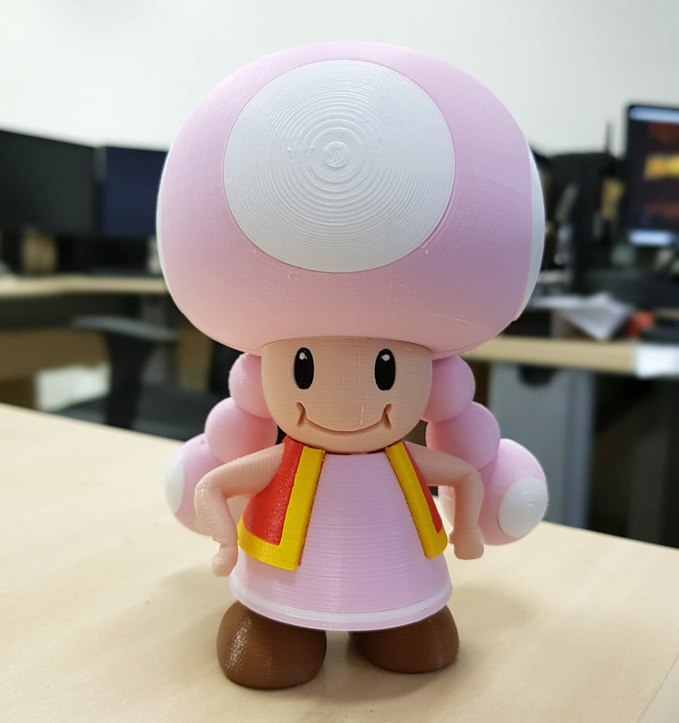 Toadette from Mario games - Multi-color