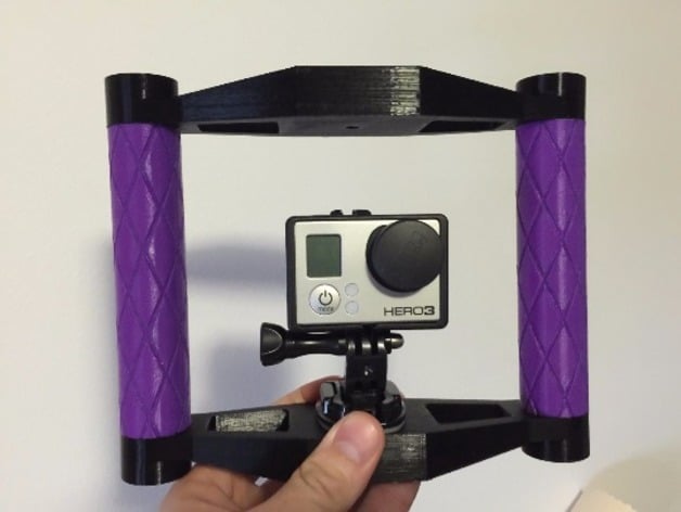 GoPro Camera Rig