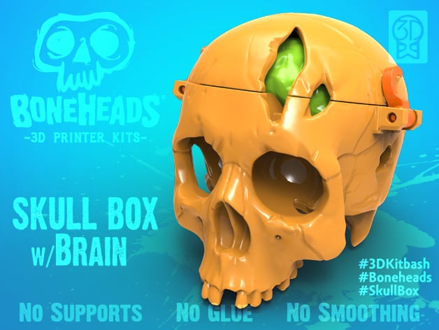 Boneheads Skull Box W Brain Via 3Dkitbash.Com