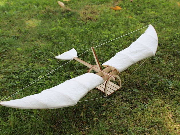 Leonardo da Vinci inspired glider