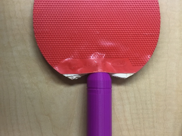 Ping Pong Paddle with replaceable paddle.