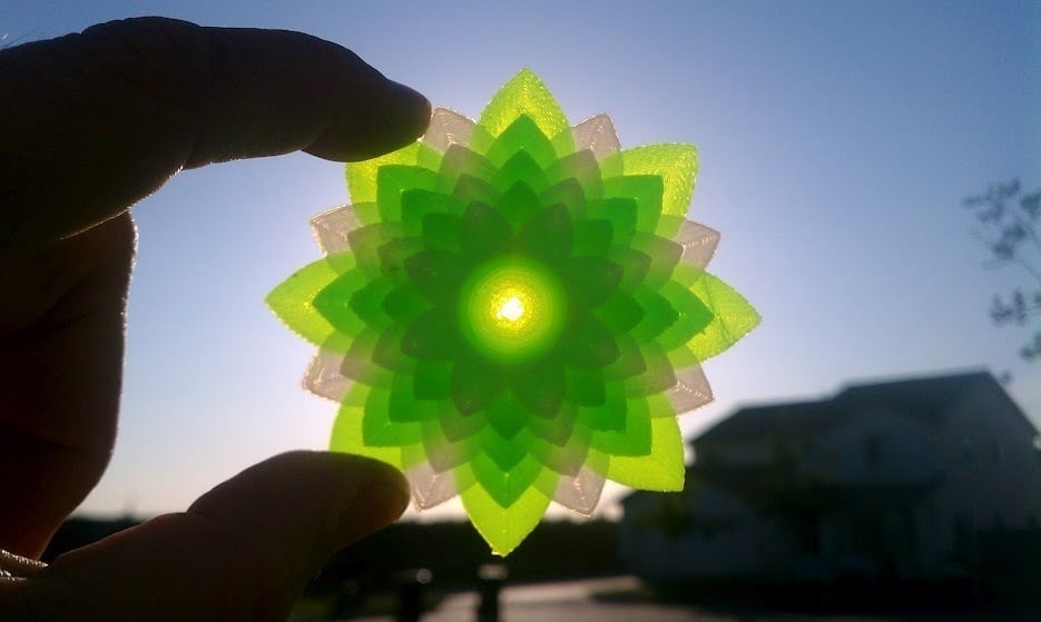 Lotus Flower
