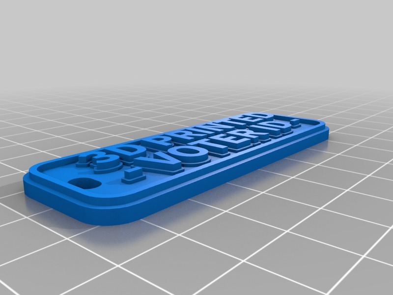 3D PRINTED VOTER ID  KEYCHAIN