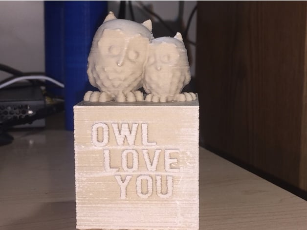 Cuddling Owls - Owl Love You box