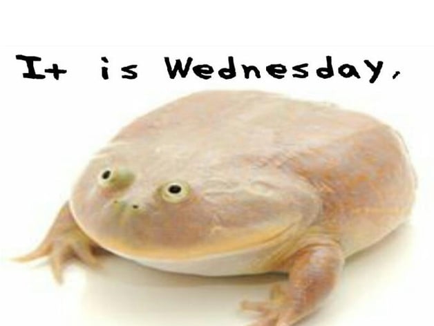 It Is Wednesday My Dudes Frog Meme