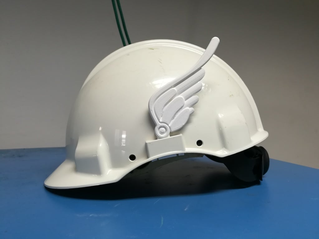 Wings for the hard hat
