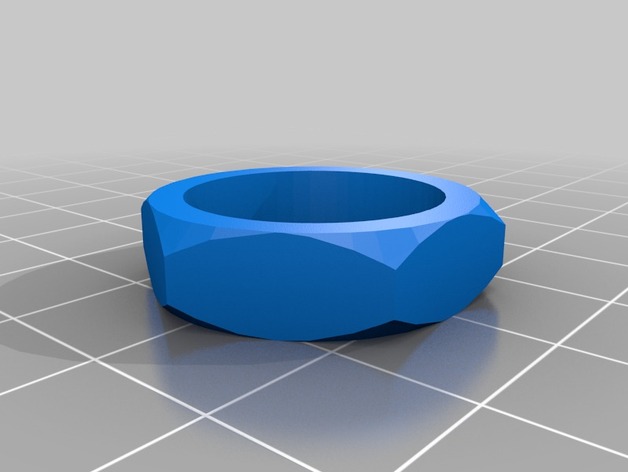 My Custom Reverse Engineer's Ring