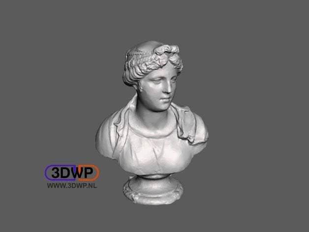 Bust Of A Young Woman - Simone Bianco (Statue 3D Scan)