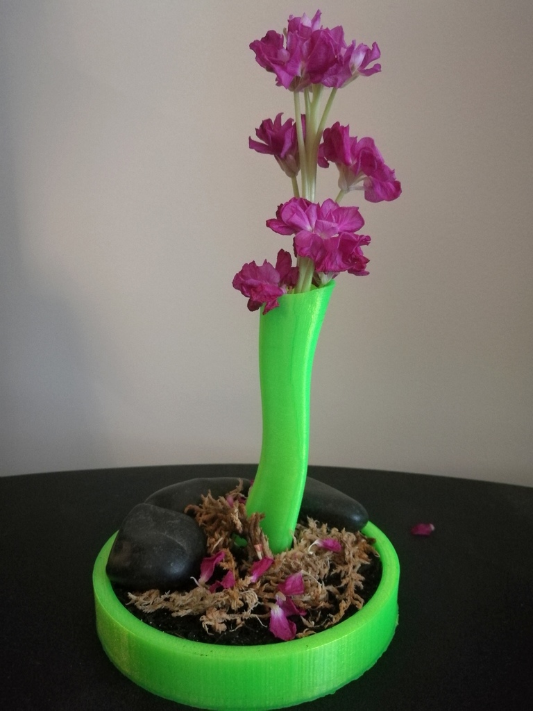 Flower Stem Vase