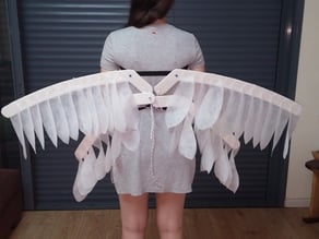 Awesome Moving Wings