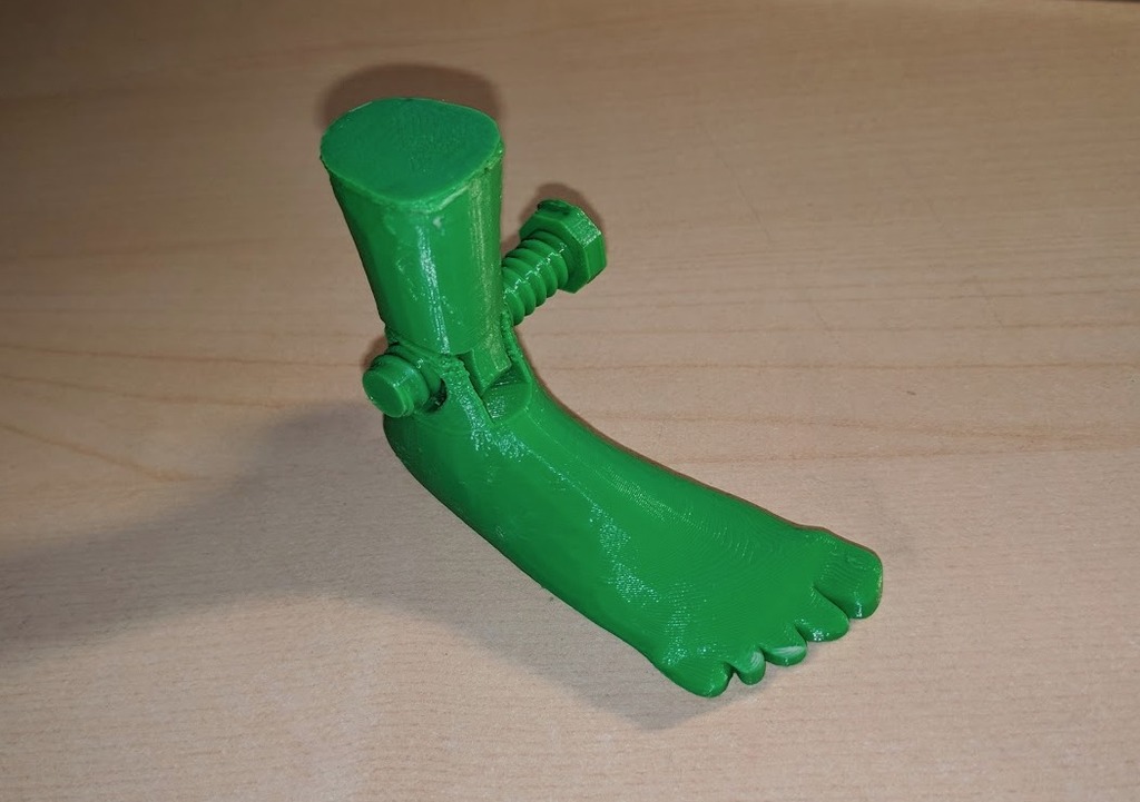 Foot with Ankle Bolt (gag gift)