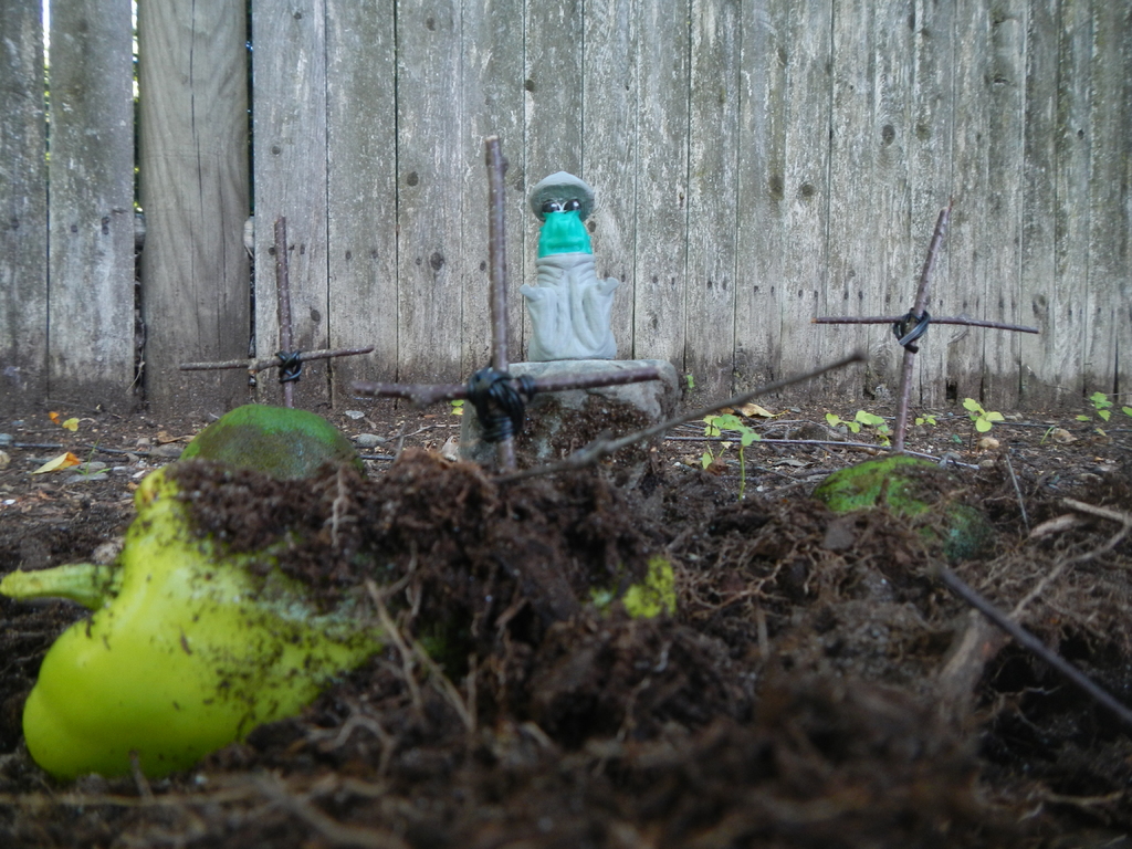 Picklomancer, the Pickle Necromancer