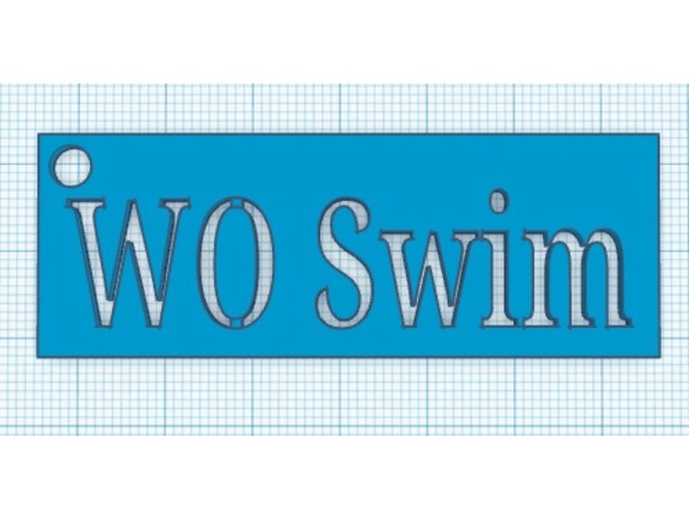 WO Swim Key chain
