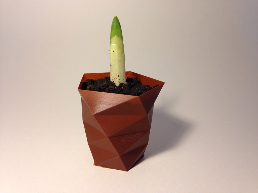 Customizable Twisted Polygon Vase
