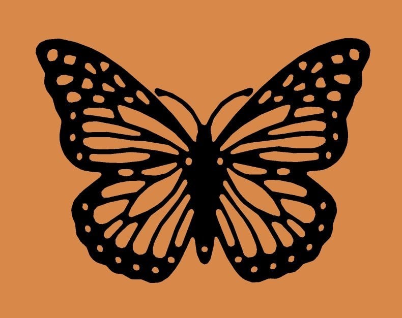 Butterfly 69