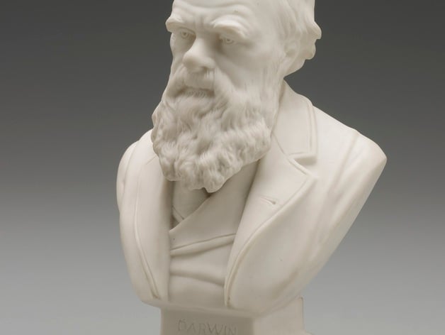 Bust of Charles Darwin, c.1899