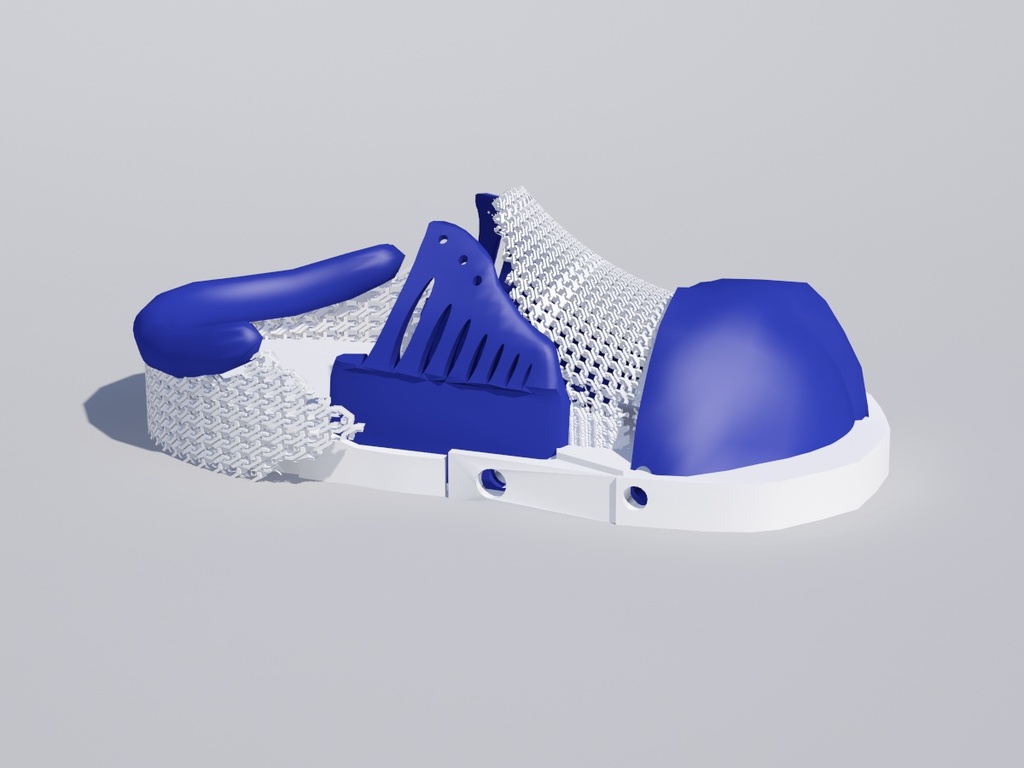 3D Printed Shoe
