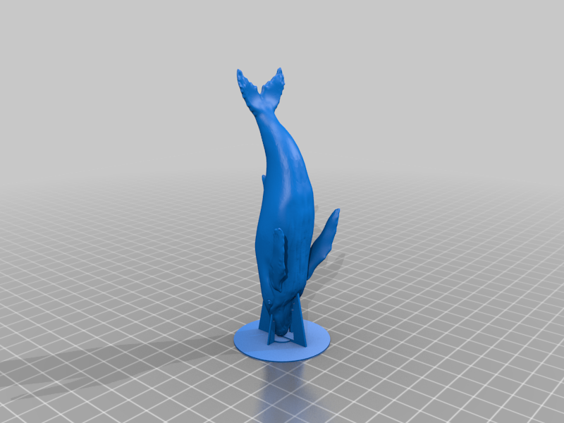 Humpback Whale (no support)