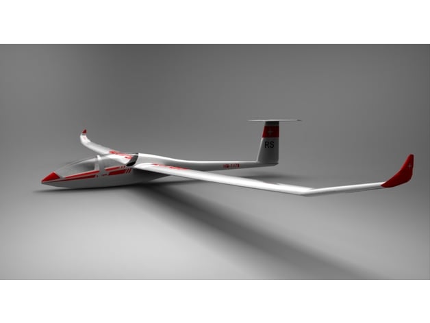Glider DG-1000
