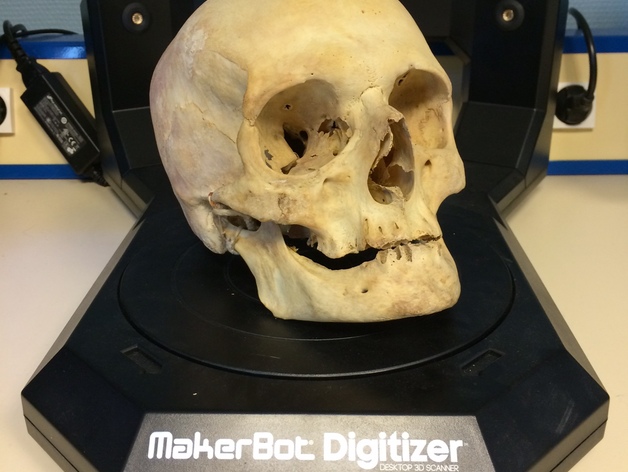3D scanned Real Skull