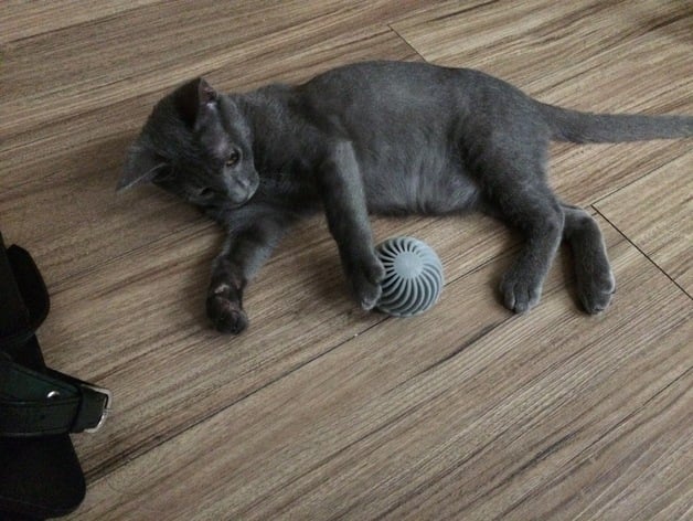 Cat toy ball